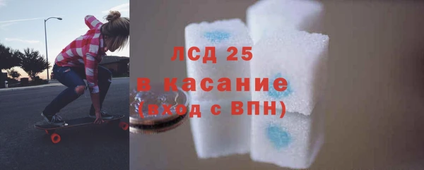 трава Аркадак