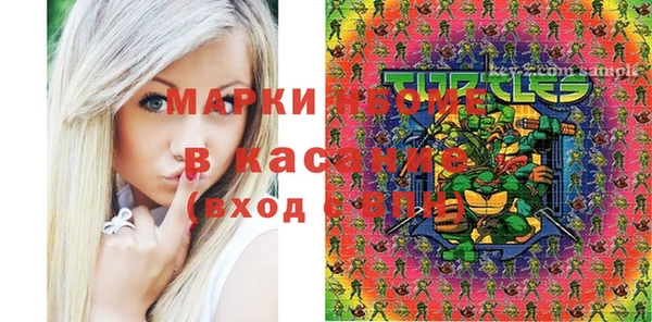 трава Аркадак