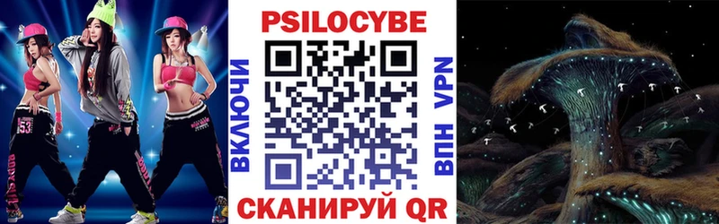 купить закладку  Луза  Псилоцибиновые грибы Psilocybe 